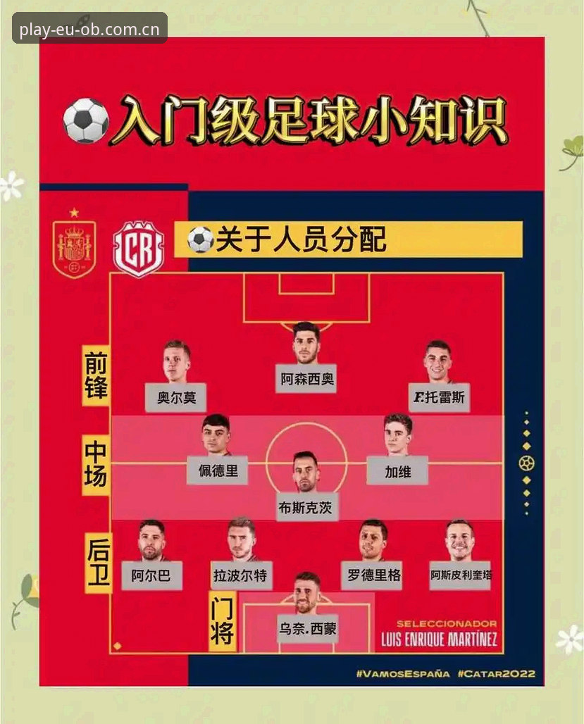 世界杯赛程负荷解读：从密集赛事看球员极限与观赛体验指南
